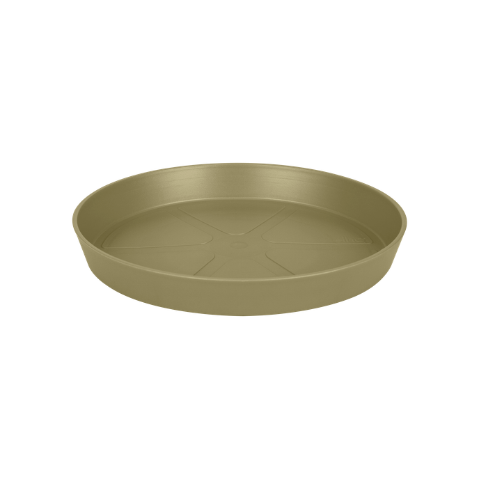 loft urban saucer round 24cm sage green